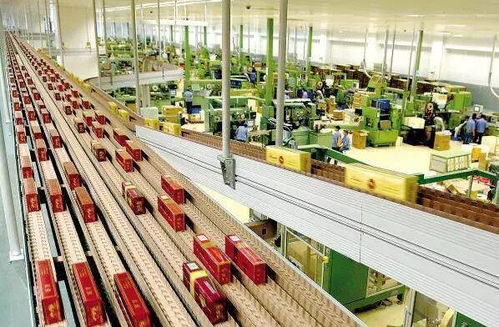 高考倒計時50天，揭秘那些冷門但潛力無限的“技術+服務”專業